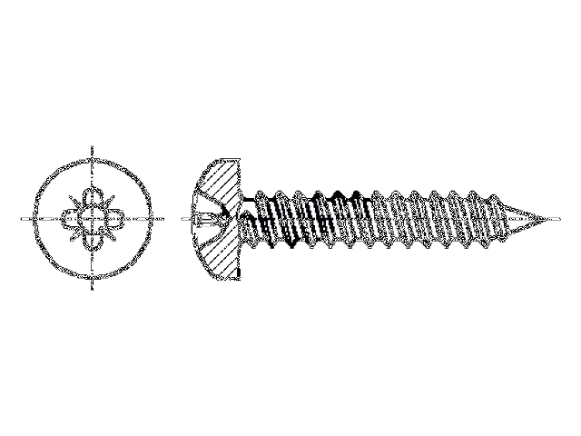 Schroef; 4,8x38; Kop: cilinder; Pozidriv; PZ2; staal; zink; ISO 7049 Schroef; 4,8x38; Kop: cilinder; Pozidriv; PZ2; staal; zink; ISO 7049